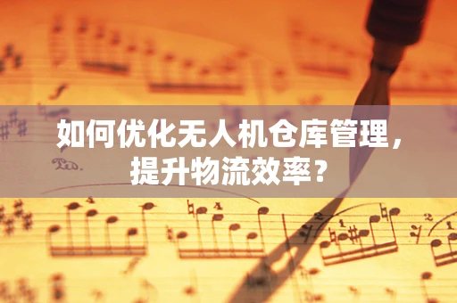 如何优化无人机仓库管理，提升物流效率？