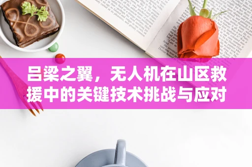 吕梁之翼，无人机在山区救援中的关键技术挑战与应对策略