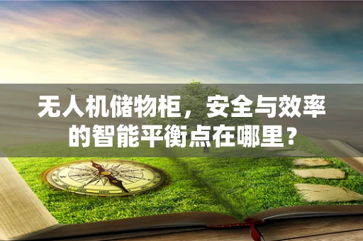 无人机储物柜，安全与效率的智能平衡点在哪里？