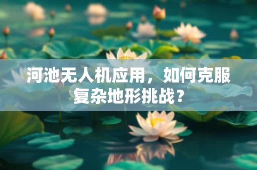 河池无人机应用，如何克服复杂地形挑战？