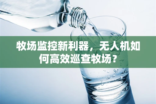 牧场监控新利器，无人机如何高效巡查牧场？