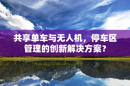共享单车与无人机，停车区管理的创新解决方案？