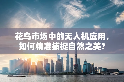 花鸟市场中的无人机应用，如何精准捕捉自然之美？