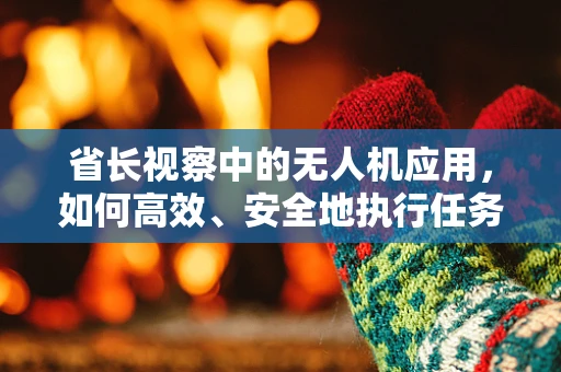 省长视察中的无人机应用，如何高效、安全地执行任务？