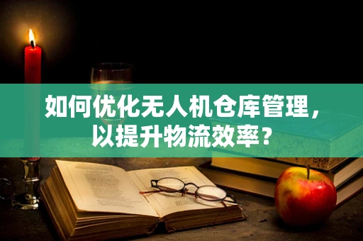 如何优化无人机仓库管理，以提升物流效率？