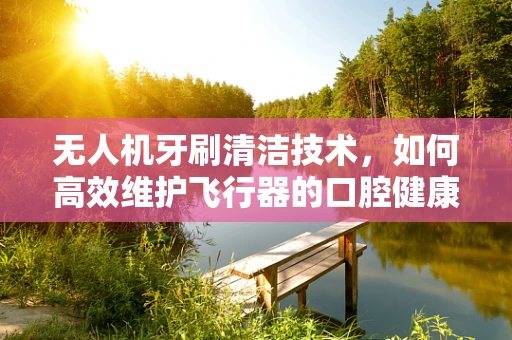 无人机牙刷清洁技术，如何高效维护飞行器的口腔健康？