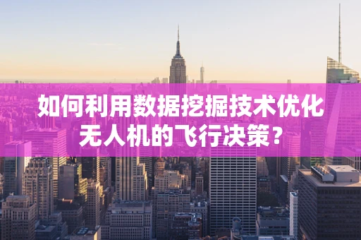 如何利用数据挖掘技术优化无人机的飞行决策？
