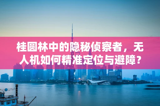桂圆林中的隐秘侦察者，无人机如何精准定位与避障？
