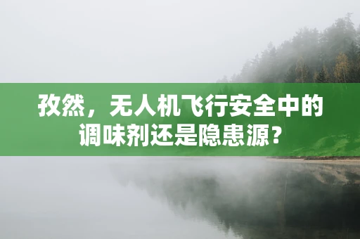 孜然，无人机飞行安全中的调味剂还是隐患源？