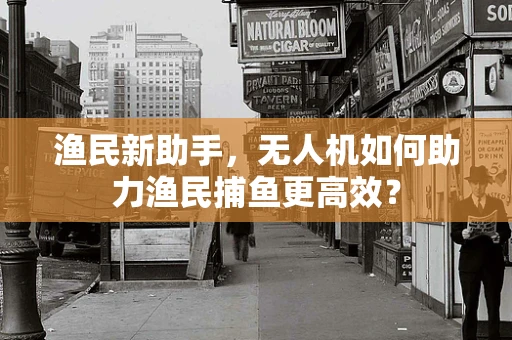 渔民新助手，无人机如何助力渔民捕鱼更高效？