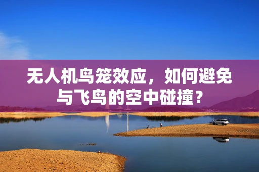无人机鸟笼效应，如何避免与飞鸟的空中碰撞？