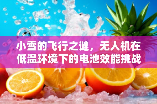 小雪的飞行之谜，无人机在低温环境下的电池效能挑战