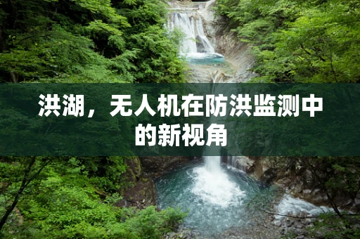 洪湖，无人机在防洪监测中的新视角