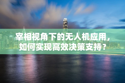 宰相视角下的无人机应用，如何实现高效决策支持？