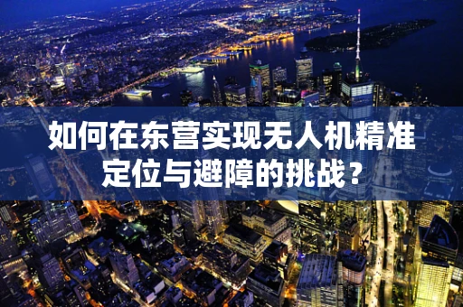 如何在东营实现无人机精准定位与避障的挑战？