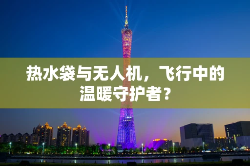 热水袋与无人机，飞行中的温暖守护者？