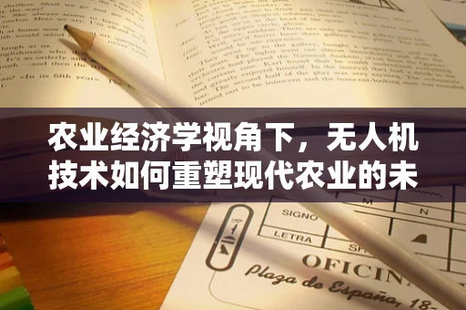 农业经济学视角下，无人机技术如何重塑现代农业的未来？