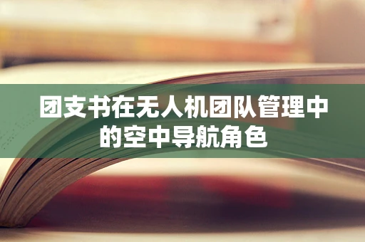 团支书在无人机团队管理中的空中导航角色