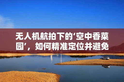 无人机航拍下的‘空中香菜园’，如何精准定位并避免干扰？
