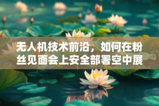 无人机技术前沿，如何在粉丝见面会上安全部署空中展示？