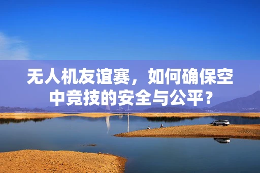 无人机友谊赛，如何确保空中竞技的安全与公平？