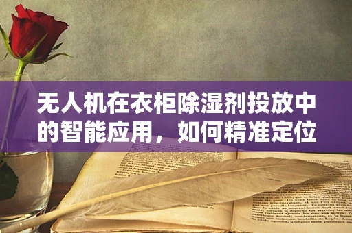 无人机在衣柜除湿剂投放中的智能应用，如何精准定位与控制？