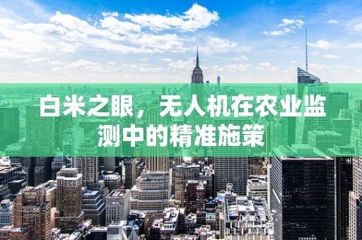 白米之眼，无人机在农业监测中的精准施策