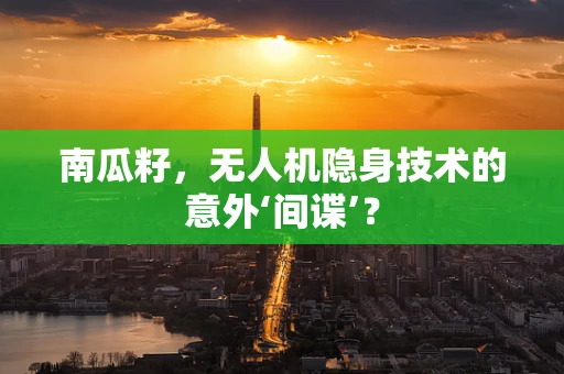 南瓜籽，无人机隐身技术的意外‘间谍’？