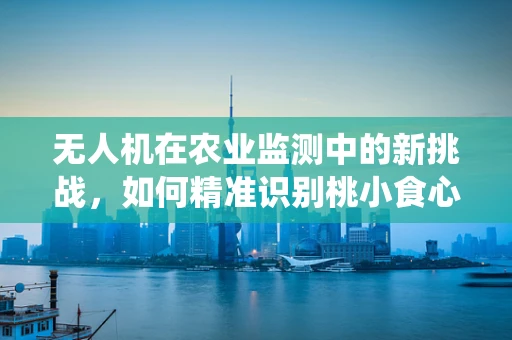 无人机在农业监测中的新挑战，如何精准识别桃小食心虫的飞行监测策略？