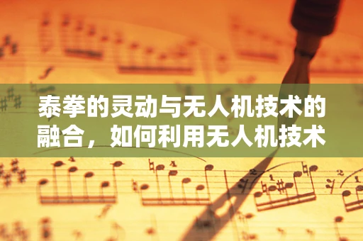 泰拳的灵动与无人机技术的融合，如何利用无人机技术提升泰拳训练的效率与安全性？