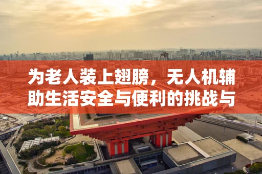 为老人装上翅膀，无人机辅助生活安全与便利的挑战与机遇