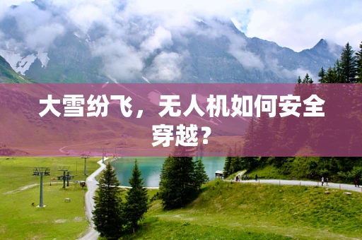 大雪纷飞，无人机如何安全穿越？