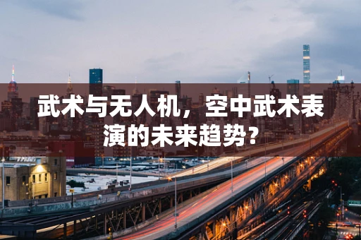 武术与无人机，空中武术表演的未来趋势？