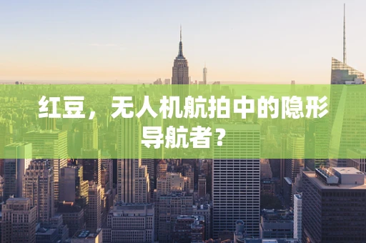 红豆，无人机航拍中的隐形导航者？