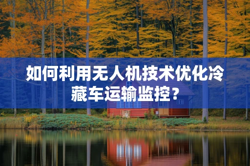 如何利用无人机技术优化冷藏车运输监控？