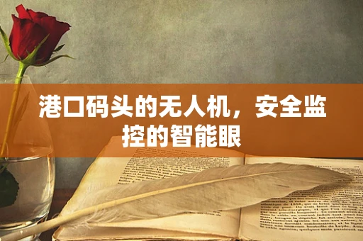 港口码头的无人机，安全监控的智能眼