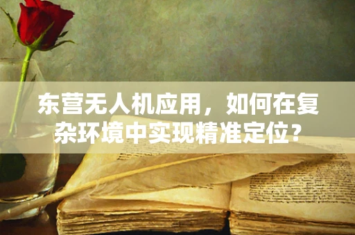 东营无人机应用，如何在复杂环境中实现精准定位？