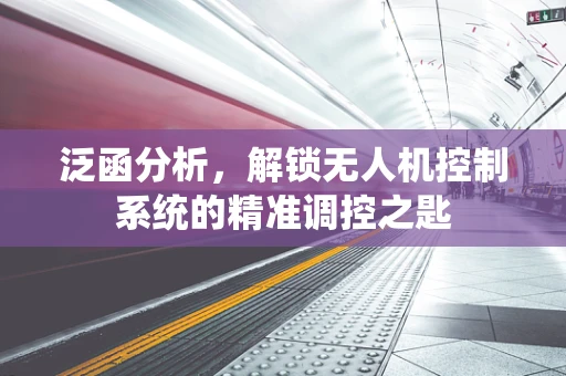 泛函分析，解锁无人机控制系统的精准调控之匙