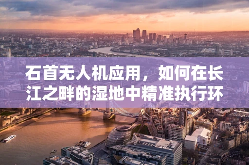 石首无人机应用，如何在长江之畔的湿地中精准执行环境监测任务？