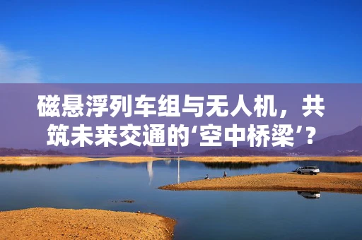 磁悬浮列车组与无人机，共筑未来交通的‘空中桥梁’？