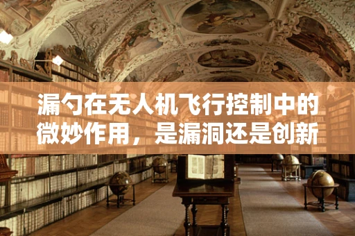 漏勺在无人机飞行控制中的微妙作用，是漏洞还是创新点？