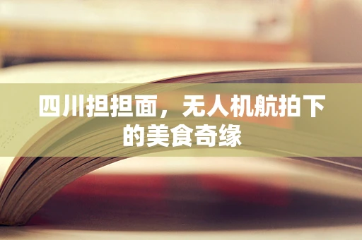 四川担担面，无人机航拍下的美食奇缘