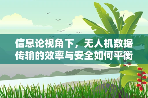 信息论视角下，无人机数据传输的效率与安全如何平衡？