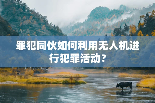 罪犯同伙如何利用无人机进行犯罪活动？