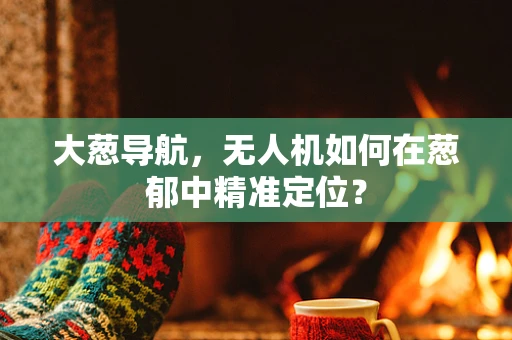 大葱导航，无人机如何在葱郁中精准定位？