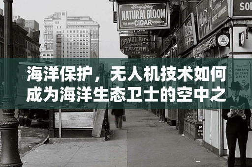 海洋保护，无人机技术如何成为海洋生态卫士的空中之眼？