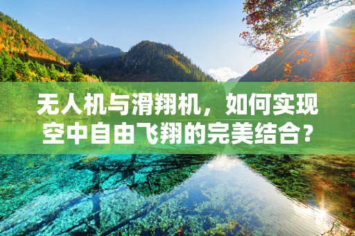 无人机与滑翔机，如何实现空中自由飞翔的完美结合？