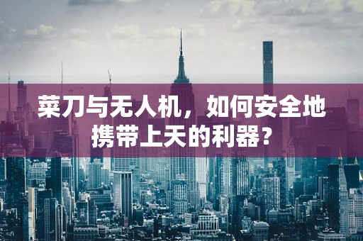 菜刀与无人机，如何安全地携带上天的利器？