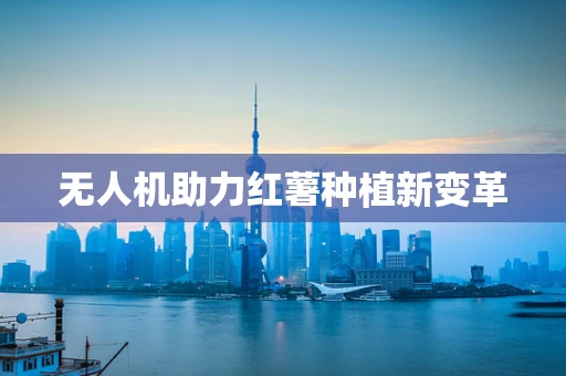 无人机助力红薯种植新变革