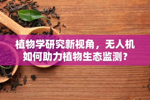 植物学研究新视角，无人机如何助力植物生态监测？